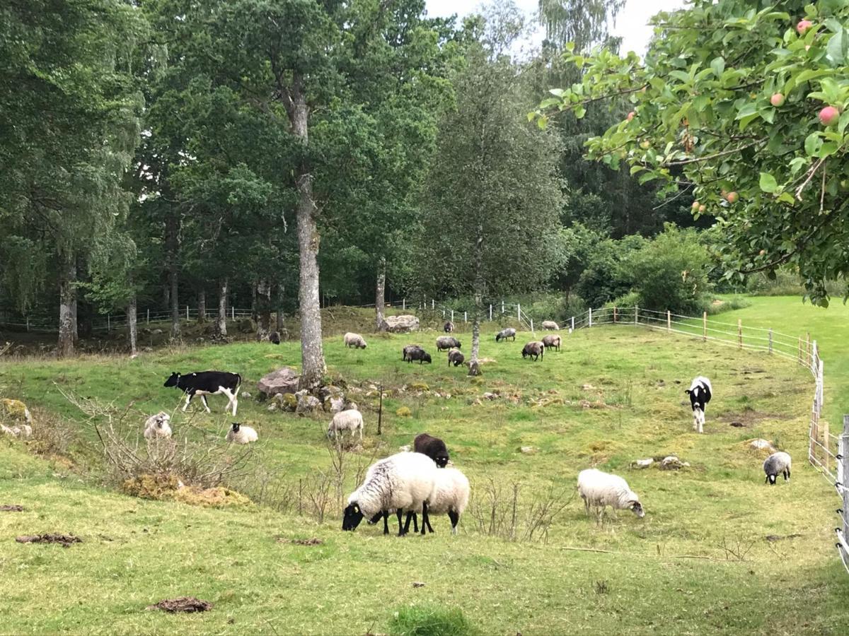 Joarsbo, Stuga 2, Gardsstugan Kalv Luaran gambar